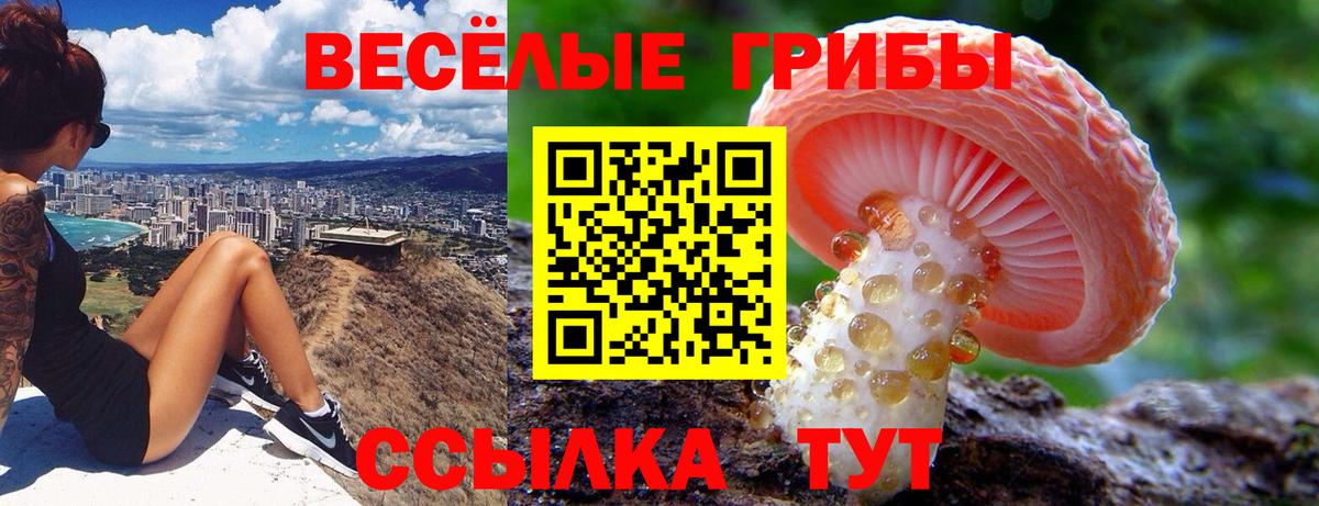 Красноуфимск  Псилоцибиновые грибы GOLDEN TEACHER  Вход с VPN  Галлюциногенные грибы MAGIC MUSHROOMS 